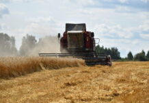 В Ярославской области прогнозируется снижение урожайности сельскохозяйственных культур