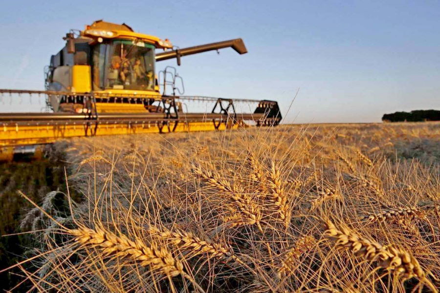 Росстат: в РФ рухнул объем производства продукции сельского хозяйства