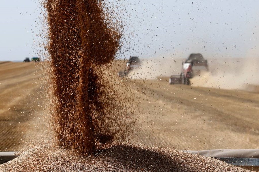 Сельхозпроизводители Кировской области потеряли из-за засухи 23% урожая