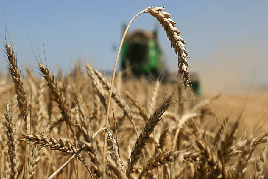 За счет недобора урожая хозяйства Татарстана недополучили в 2021 году свыше 28 млрд рублей