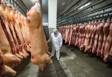 Импортное мясо будут ввозить в зависимости от объемов собственного производства и насыщения внутреннего рынка