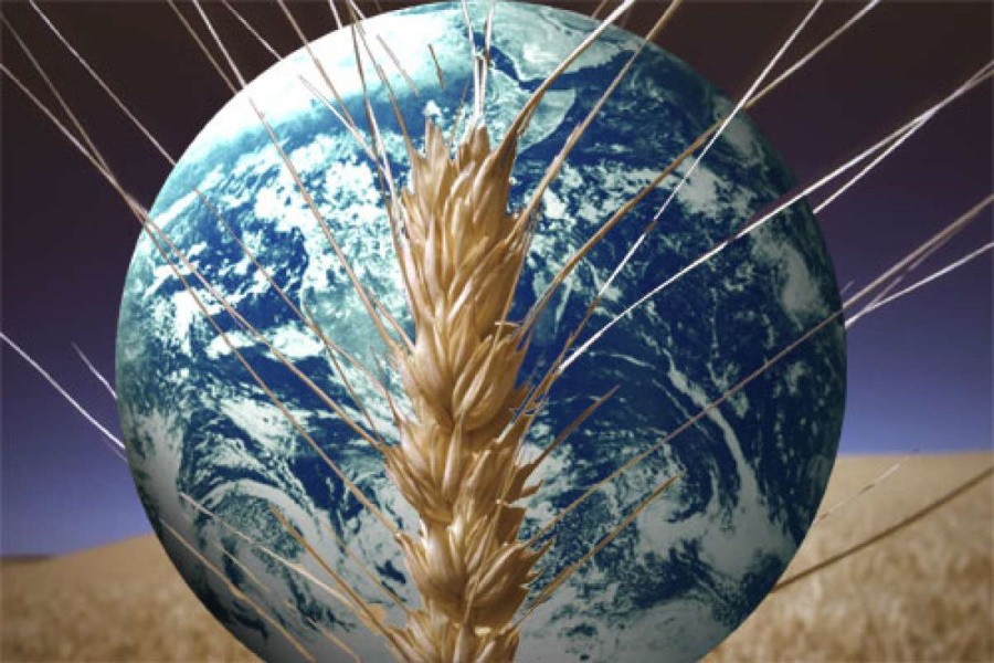 Стоимость зерна на мировых рынках стремительно летит вверх