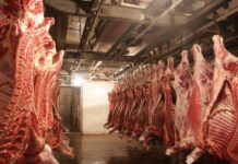 Российский рынок мяса испытывает серьезные трудности
