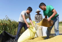 Торговля сельскохозяйственными услугами станет новым направлением роста для китайских компаний