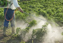 Якутский фермер наказан за нарушение правил использования агрохимикатов