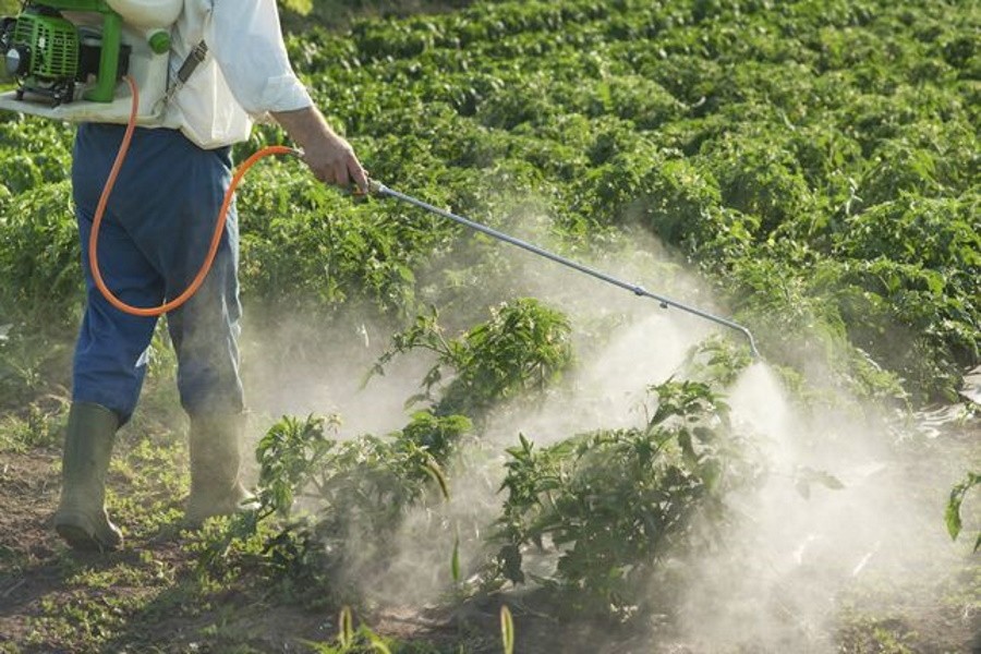 Якутский фермер наказан за нарушение правил использования агрохимикатов