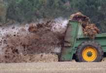 В России вдвое вырос спрос на органические отходы птицеводческих и животноводческих предприятий