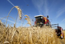 Российские фермеры почти не получают господдержки — АККОР