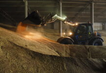 На экспорте зерна Ставрополье зарабатывает почти 400 млн долларов