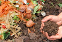 Безотходное производство — пищевые отходы превратятся в удобрения