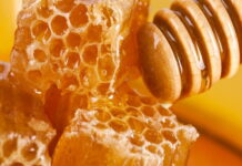 Нижегородские пчеловоды начнут экспортировать мед в Европу