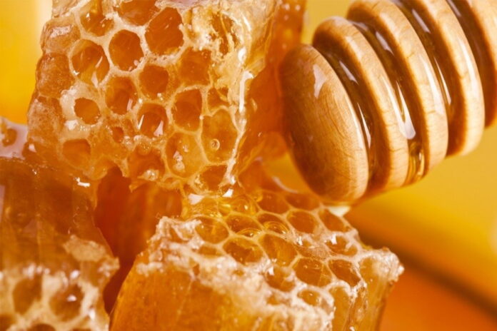 Нижегородские пчеловоды начнут экспортировать мед в Европу