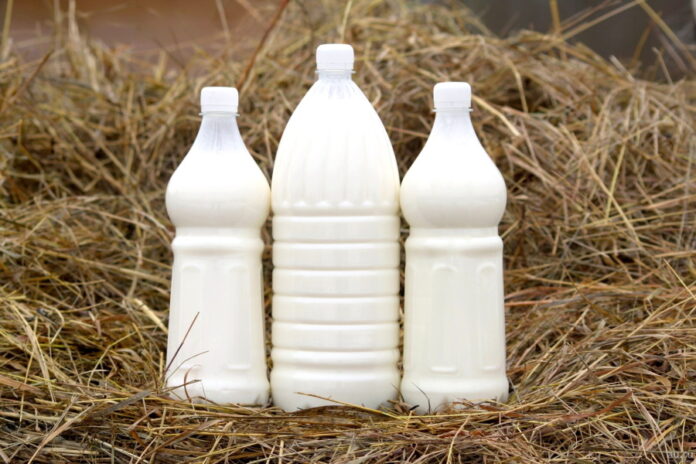 Себестоимость производства молока в РФ выросла в разы – эксперт