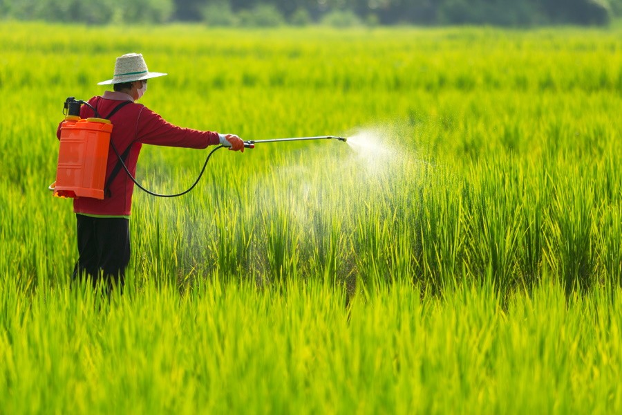 Фермеры Кении намерены бороться с запретом на широко используемые пестициды