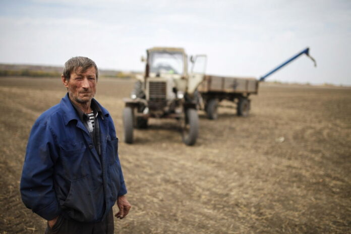 Агрохолдинги или фермеры: кого будет поддерживать государство?