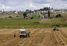 Французские фермеры опасаются ответных мер России против европейского сельского хозяйства