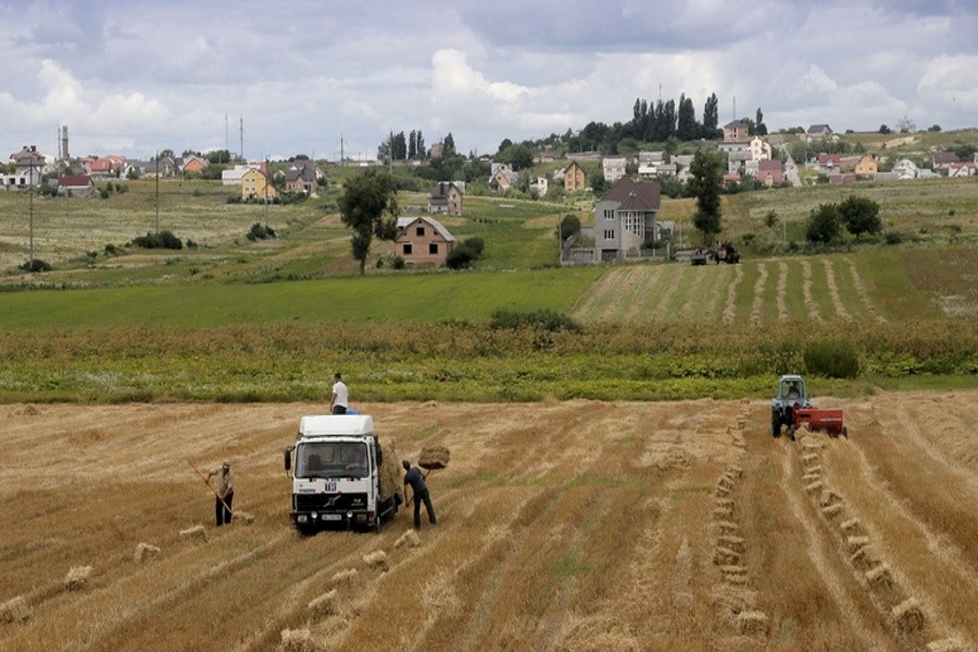 Французские фермеры опасаются ответных мер России против европейского сельского хозяйства