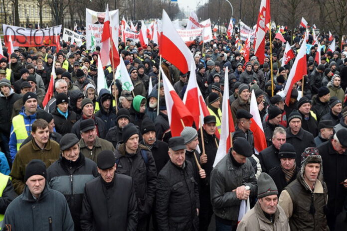 Мы не будем умирать молча: польские фермеры заблокировали Варшаву