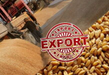 С 15 февраля в России заработает квота на экспорт зерна