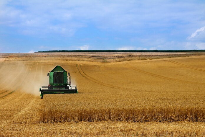 АПК РФ ежегодно теряет до 5-7% урожая зерна