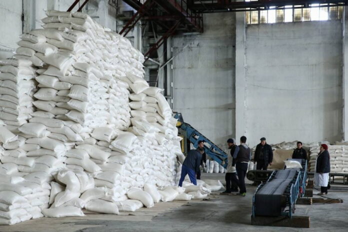 В России вводят временный запрет на экспорт зерна и сахара