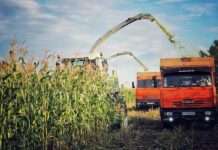 Семеноводство и сельхозтехника сильно пострадают от санкций в российском АПК — ИКАР