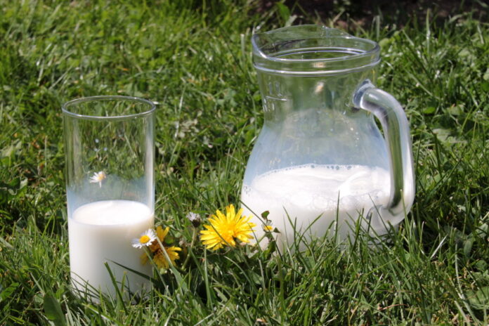 За 11 лет в Бурятии более чем в два раза сократили выпуск молока