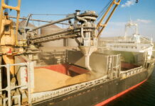Российский зерновой союз просит Путина отказаться от экспортных пошлин на зерно и масличные