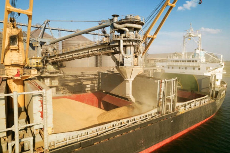 Российский зерновой союз просит Путина отказаться от экспортных пошлин на зерно и масличные
