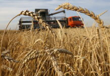 Глава ФАС оценил зависимость российского сельского хозяйства от импорта