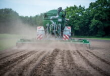 В сельхозпроизводстве РФ хотят разрешить использование навоза