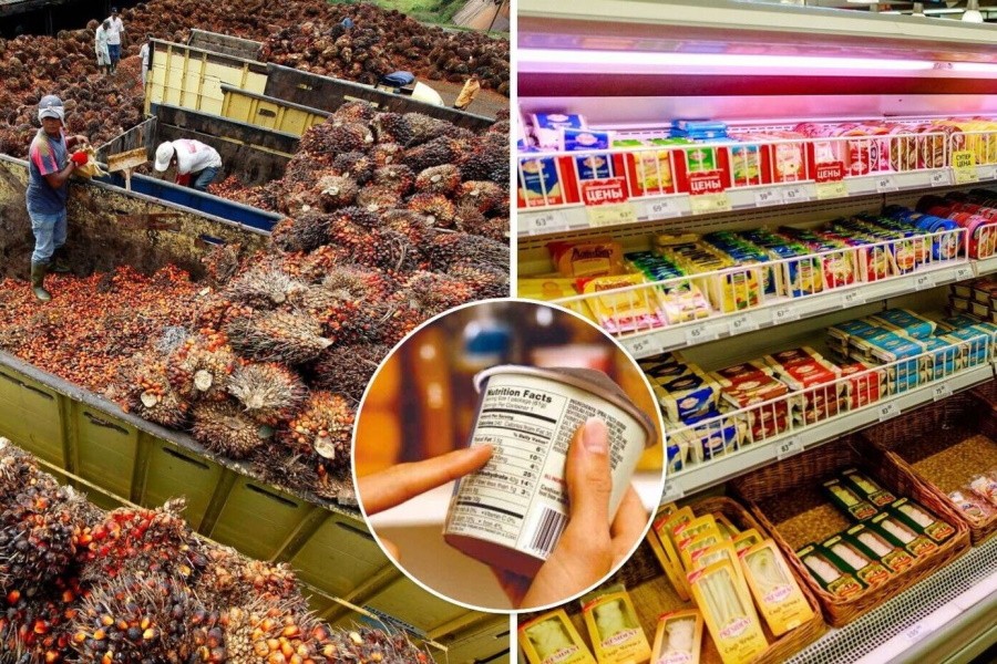 Удар ниже пояса: Индонезия запретила экспорт пальмового масла