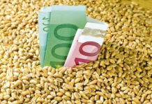 Мировые цены на зерно достигли рекордного показателя