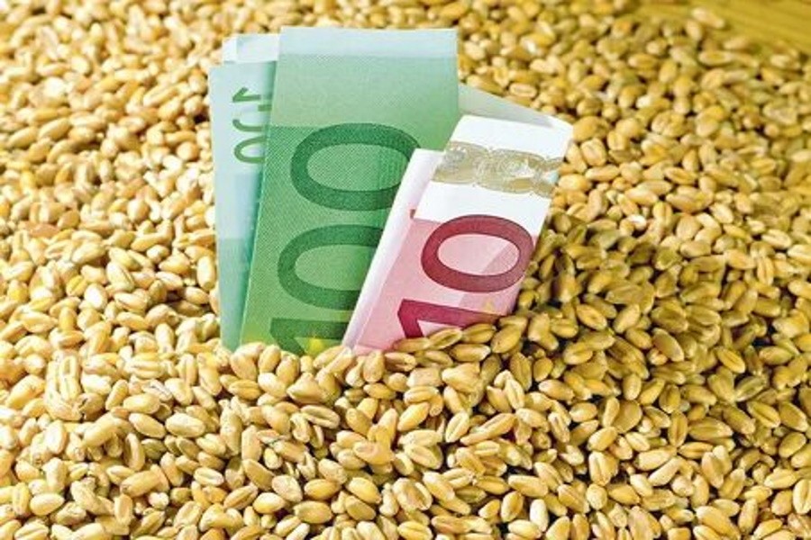 Мировые цены на зерно достигли рекордного показателя