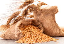 Минсельхоз утвердил цены на зерно и сахар для интервенций