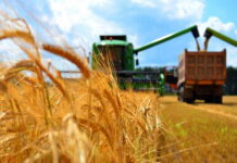 Правительство РФ выделит 153 млрд рублей на поддержку сельского хозяйства