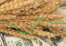 Цены на пшеницу достигли максимума за 14 лет