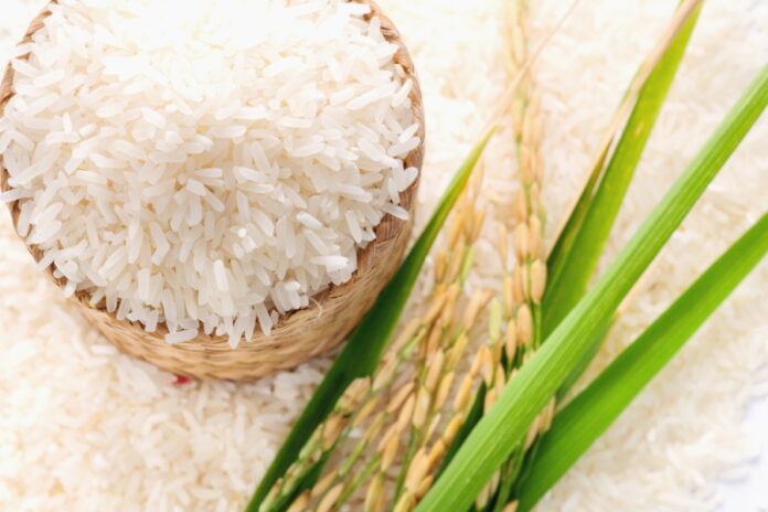 В Крыму после долгого перерыва стартовала посевная кампания риса