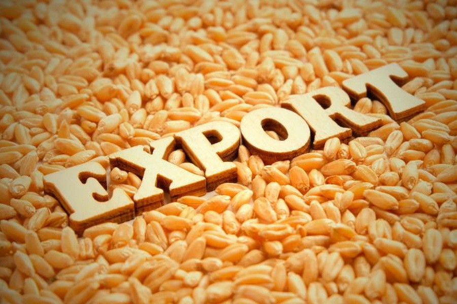 РФ станет мировым лидером по экспорту пшеницы