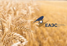 Пшеницу придержат в ЕАЭС