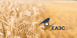 Пшеницу придержат в ЕАЭС