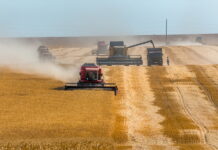 Белорусские аграрии сократили производство и обросли долгами