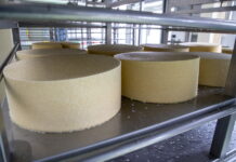 Производство сыров в промышленных масштабах впервые запущено на Сахалине