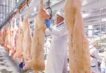 По итогам года производство свинины в России может увеличиться на 5%