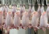 Экспорт мяса птицы вырос на 50%