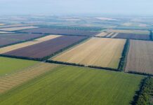 Губернатор Краснодарского края поручил провести инвентаризацию земель сельхозназначения