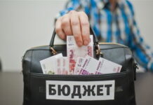 Неэффективно использовали 50 миллионов рублей — депутат из Забайкалья
