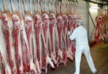 У производителей свинины может серьезно ухудшиться положение