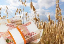 Глава аграрного комитета просит Путина выделить 100 млрд рублей на кредиты фермерам