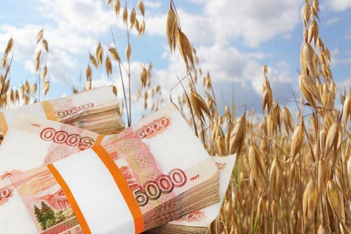 Глава аграрного комитета просит Путина выделить 100 млрд рублей на кредиты фермерам